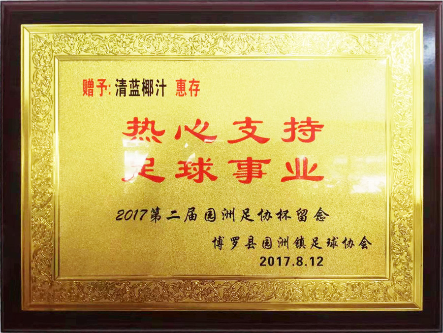园洲足协.jpg