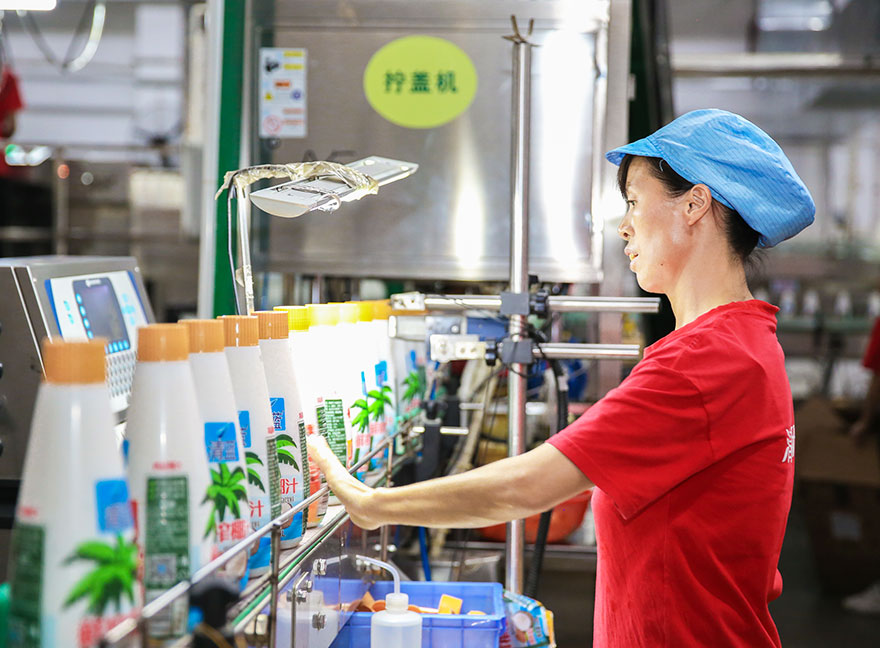 清蓝椰汁生产厂家