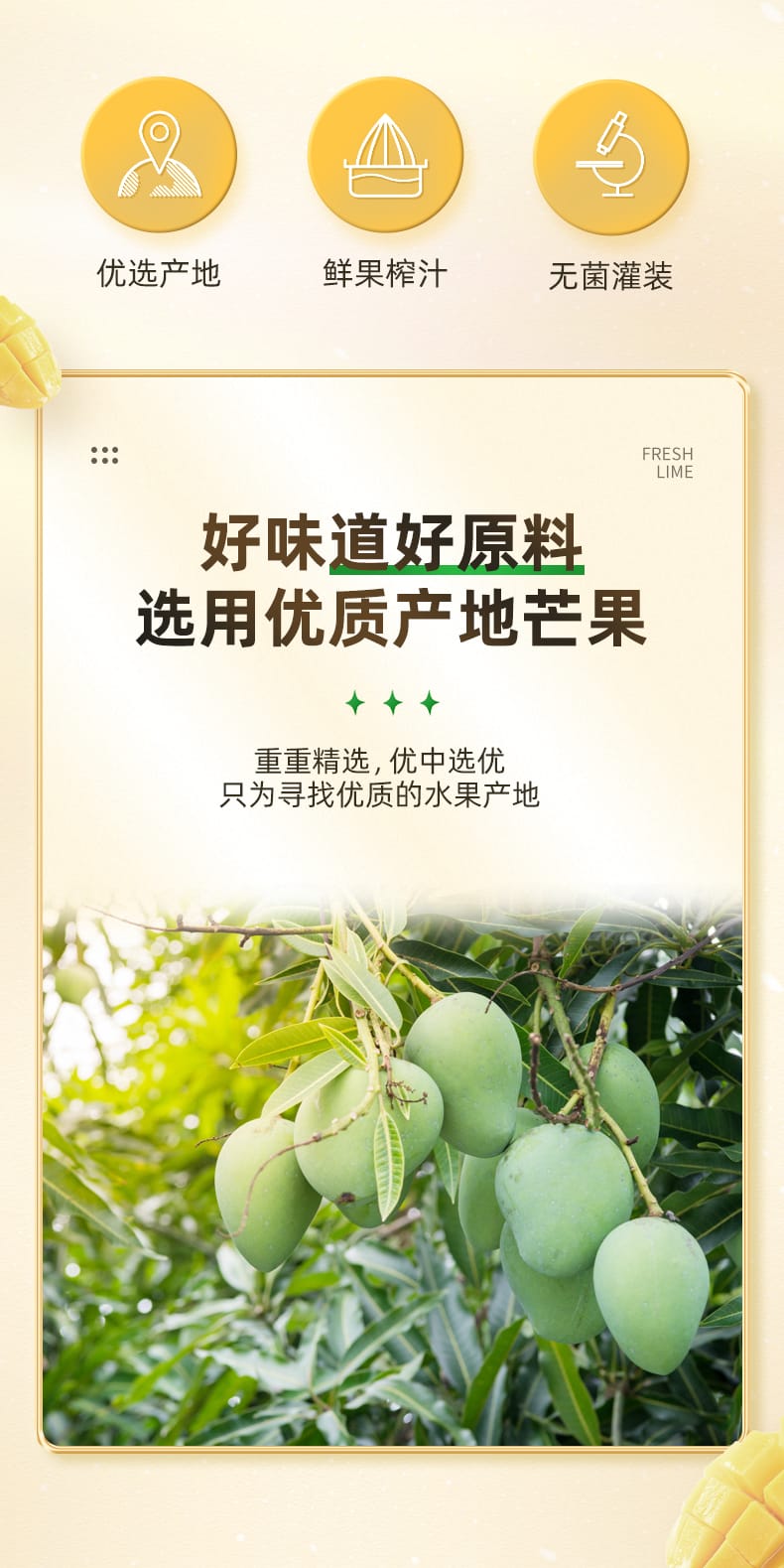 详情页_02.jpg